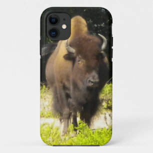 Bison iPhone 5 coque