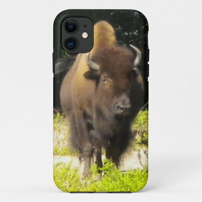 Bison iPhone 5 coque (Dos)