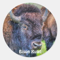 Bison Rule ! Stickers Art-Lover-Buffalo