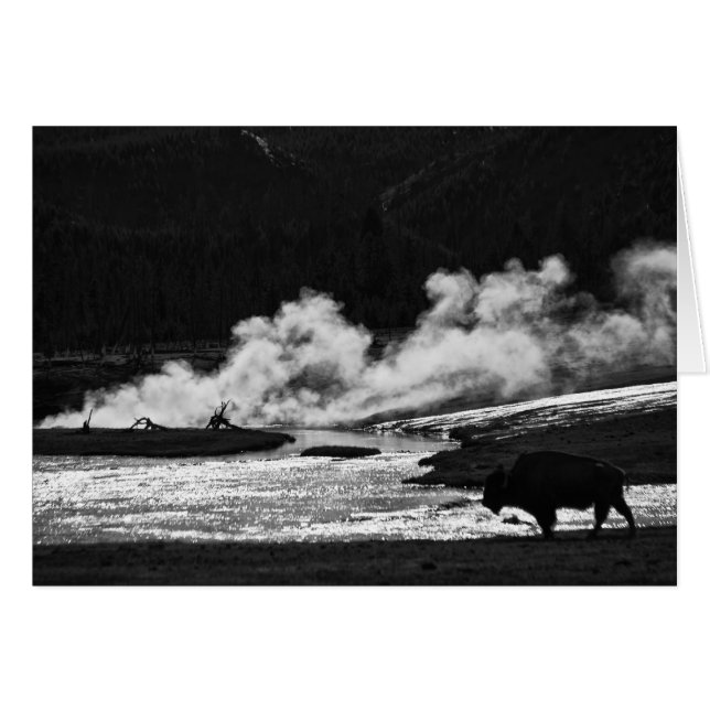 Bison vapeur - Carte (Devant horizontal)