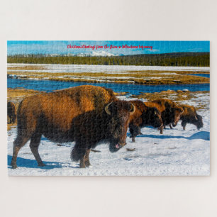Bison Yellowstone Wyoming. Jigsaw Puzzle