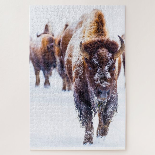 Bison Yellowstone Wyoming. Puzzle (Vertical)