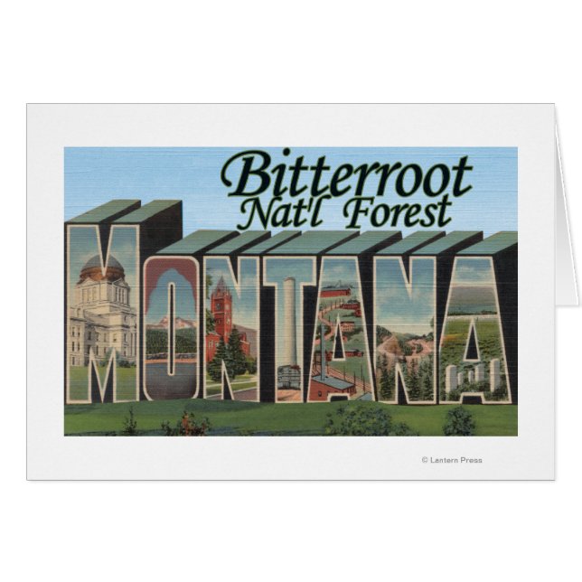 Bitterroot Forêt Nat'l, Montana (Devant horizontal)