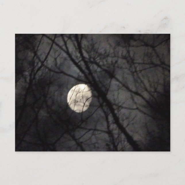 BL - Carte postale Lune et Arbres Nature (Devant)