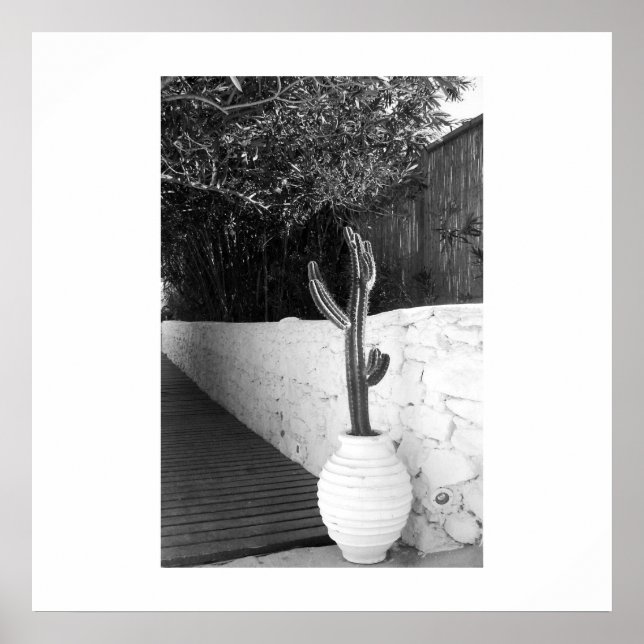 Black and white cactus poster art summer photo (Devant)
