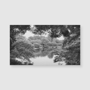 Black and white, cool, unique nature et lake