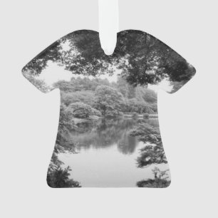 Black and white, cool, unique nature et lake