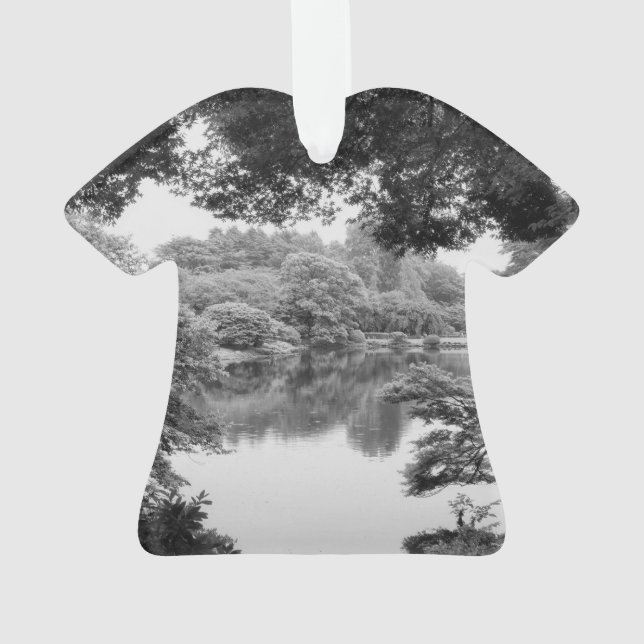Black and white, cool, unique nature et lake (dos)