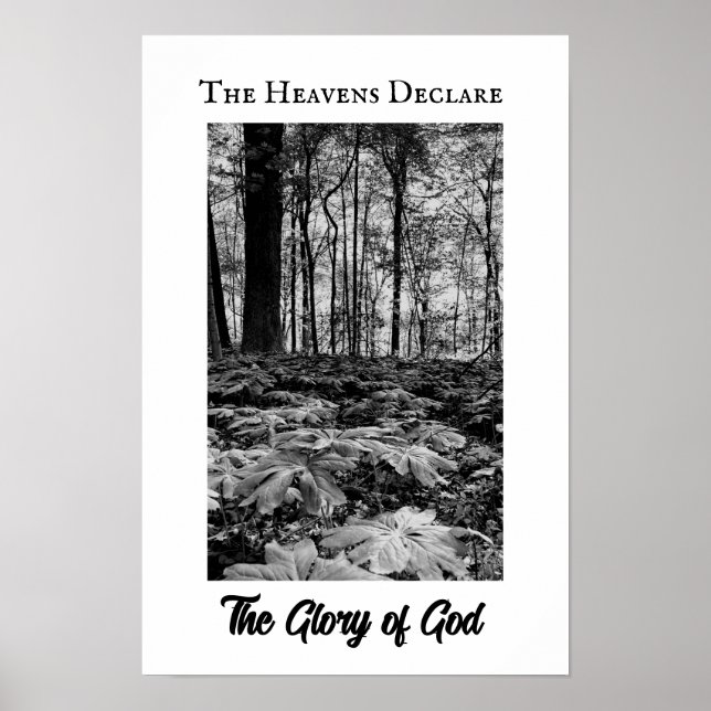 Black and White Forest Glory of God Poster (Devant)