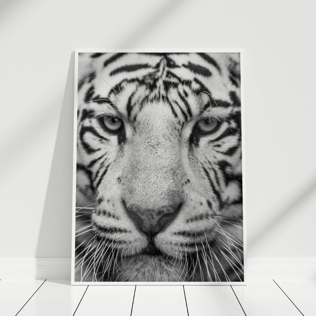 Black and White Tiger Print Poster (Black and White Tiger Print Poster in white frame on white wooden floor.)