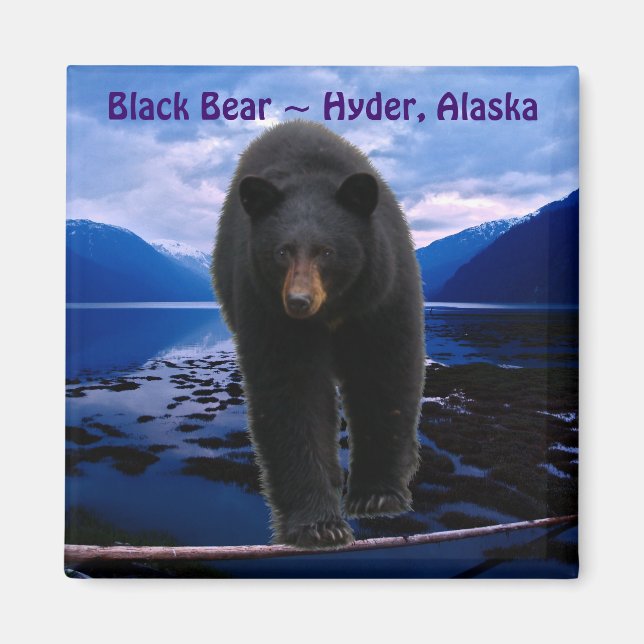 BLACK BEAR Hyder, Alaska Wildlife Magnet (Devant)