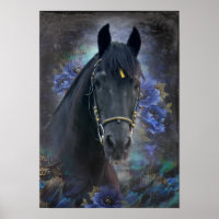 Black Beauty Friesian Horse - Poster