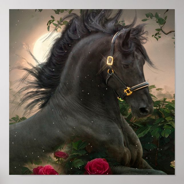 Black Beauty Friesian Horse - Poster (Devant)