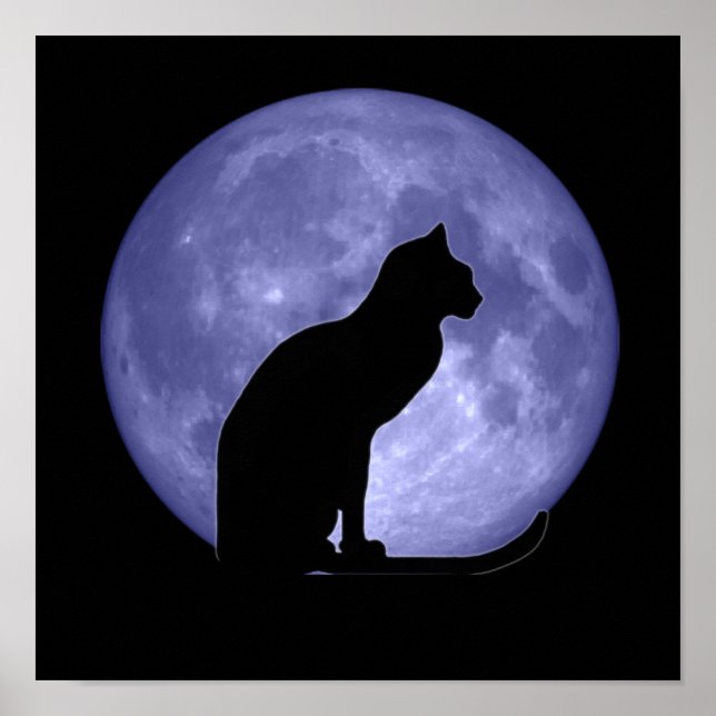 Black Cat Blue Moon Affiche (Devant)