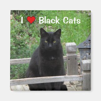 Black Cat Bridge I Love Black Cats Magnet