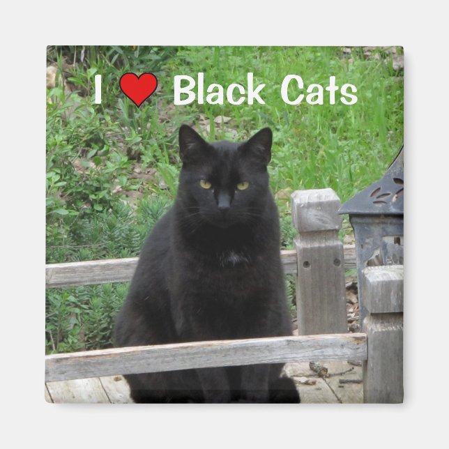 Black Cat Bridge I Love Black Cats Magnet (Devant)