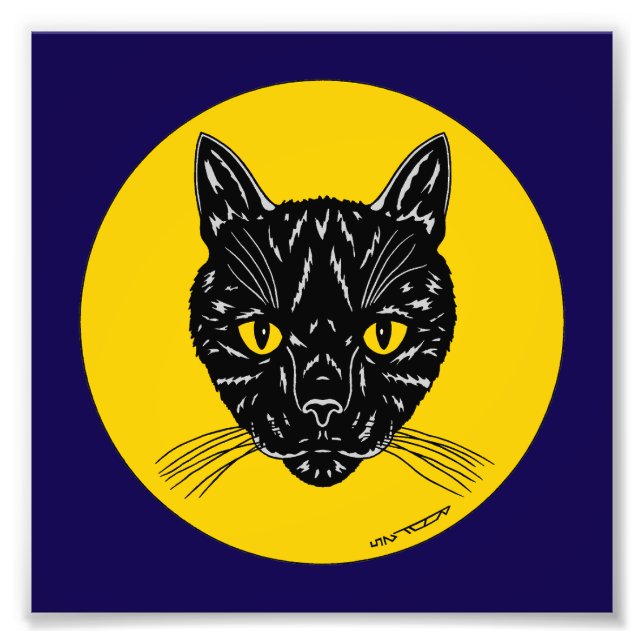 Black Cat Face Photo Print (Devant)