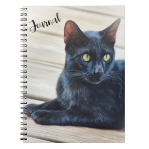 Black Cat Green Eyes Art Portrait Journal