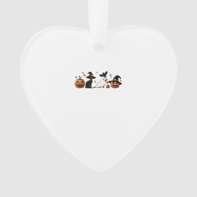 Black Cat Halloween Pumpkin Boo Ghost Witch Spooky (devant)