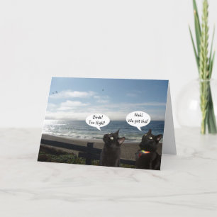 Black Cats veut la carte d'encouragement aux oisea