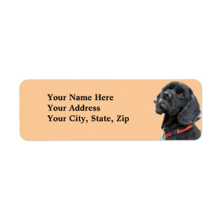 Black Cocker Spaniel Étiquette