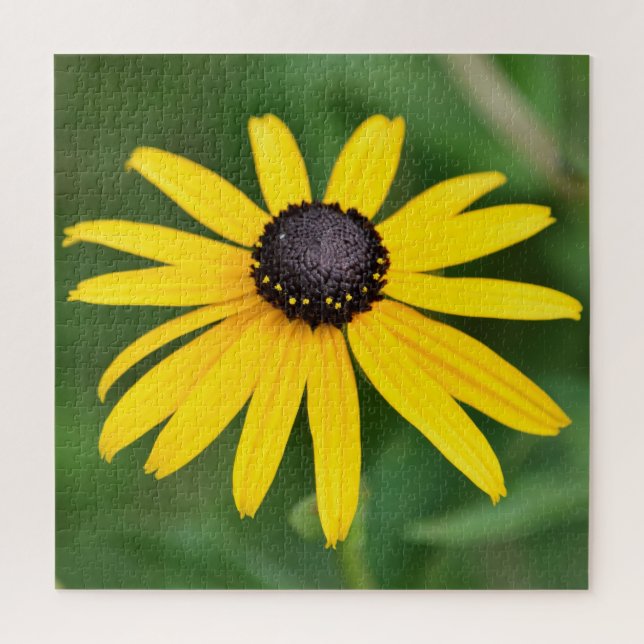 Black Eyed Susan - 20x20 - 676 pcs. Puzzle floral (Vertical)