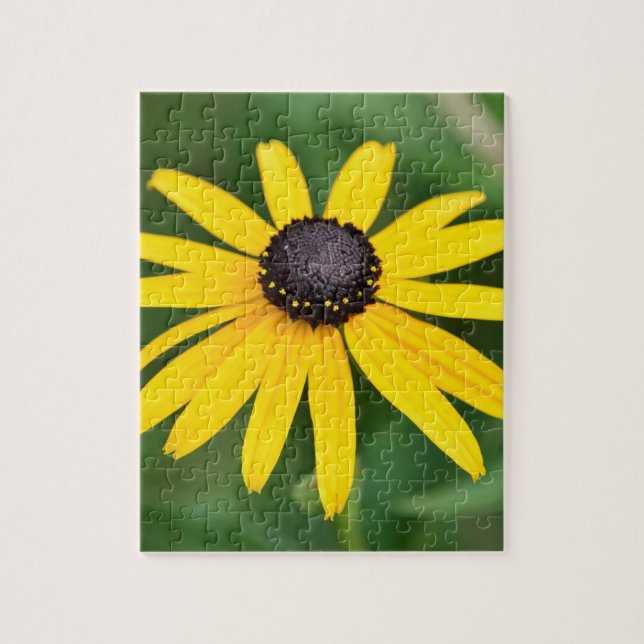 Black Eyed Susan - 8x10 110 pcs. Puzzle floral (Vertical)