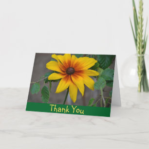 Black Eyed Susan Carte de remerciements