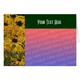 Black Eyed Susan Flowers Carte photo
