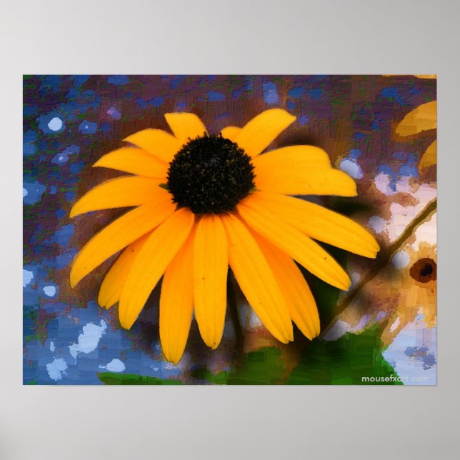 Black Eyed Susan Poster (Devant)
