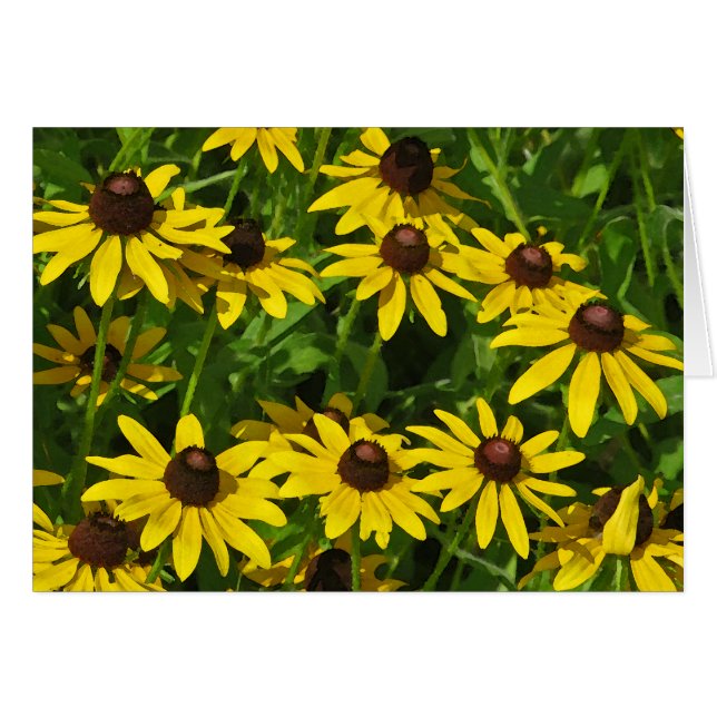 Black-Eyed Susans Art (aquarelle) (Devant horizontal)