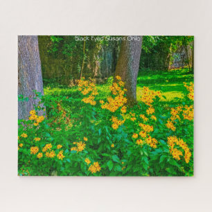 Black Eyed Susans Ohio. Puzzle