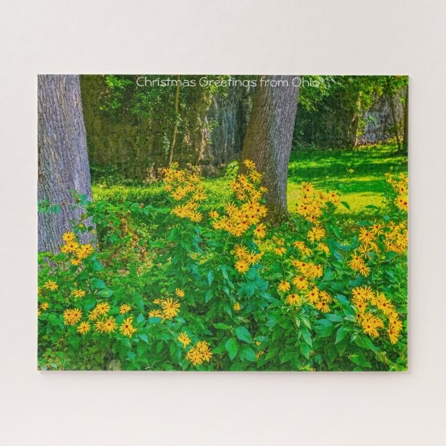Black Eyed Susans Ohio. Puzzle (Horizontal)
