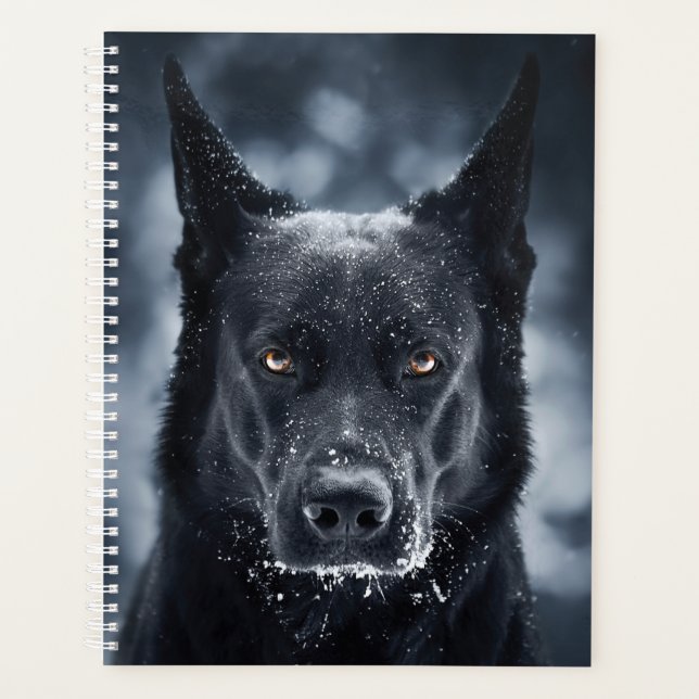 Black German Shepherd (Devant)