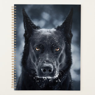 Black German Shepherd