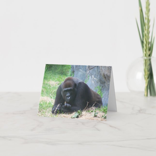 Black Gorilla Comment va votre journée ? (Devant)
