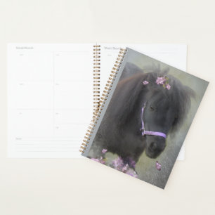 Black Horse Shetland Pony - Calendrier, Planificat