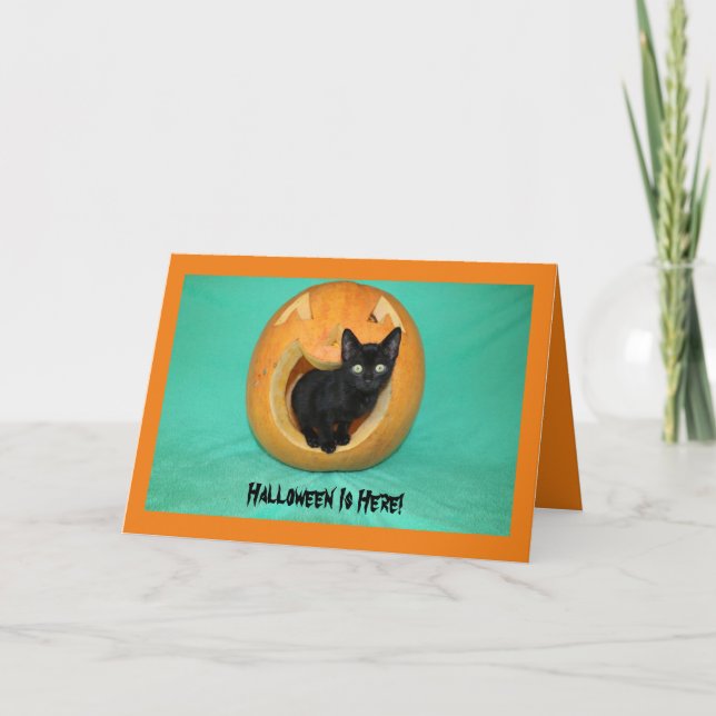 Black Kitty en Citrouille Carte de voeux Halloween (Devant)