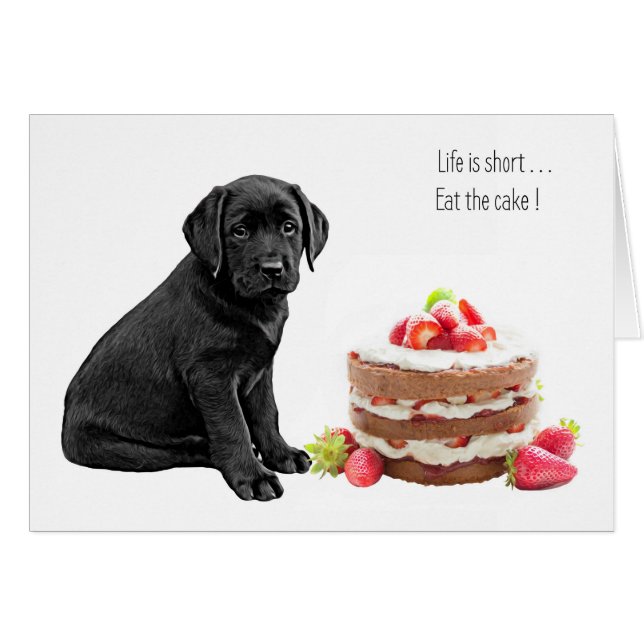 Black Lab All Occasion Card - Dog Cake Birthday (Devant horizontal)