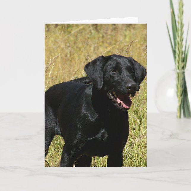 Black Lab dans la carte Note de champ (Devant)