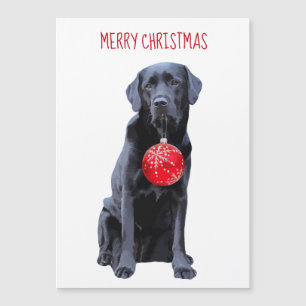 Black Lab Joyeux Noël - adorable chien du Labrador