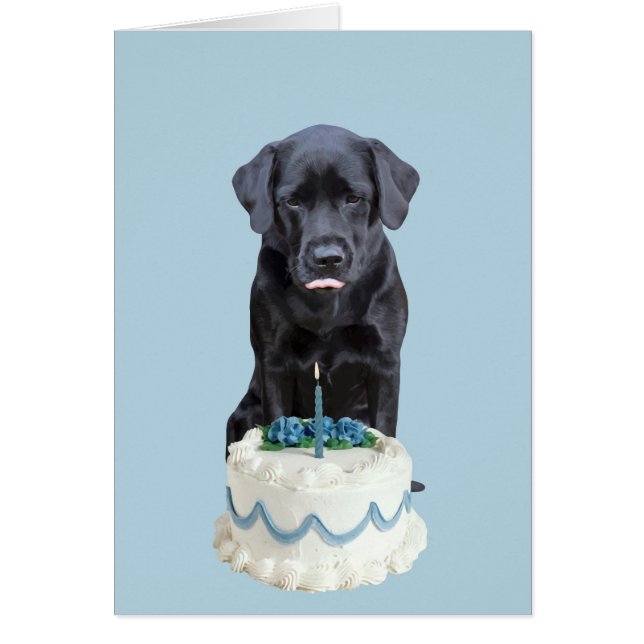 Black Lab Toutes les Occasions Carte - Chig Cake A (Devant)