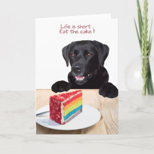 Black Lab Toutes les Occasions Carte - Chig Cake A