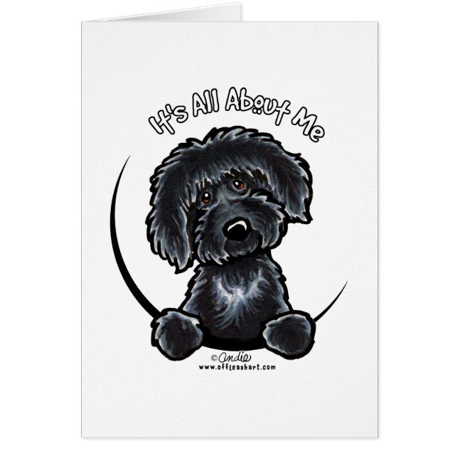 Black Labradoodle IAAM Simple (Devant)