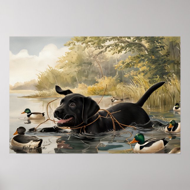 Black Labrador Puppy, Labrador Hunter Poster (Devant)