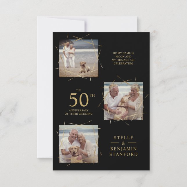 Black Modern 3 Photos Animal de compagnie Tous Ann (Devant)