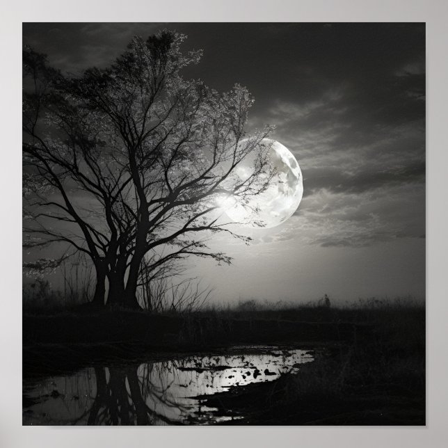 Black noir noir noir photo paysage lune Poster (Devant)