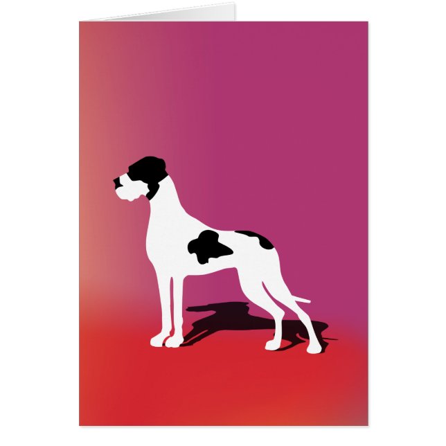 Black Piebald Great Dane (Devant)