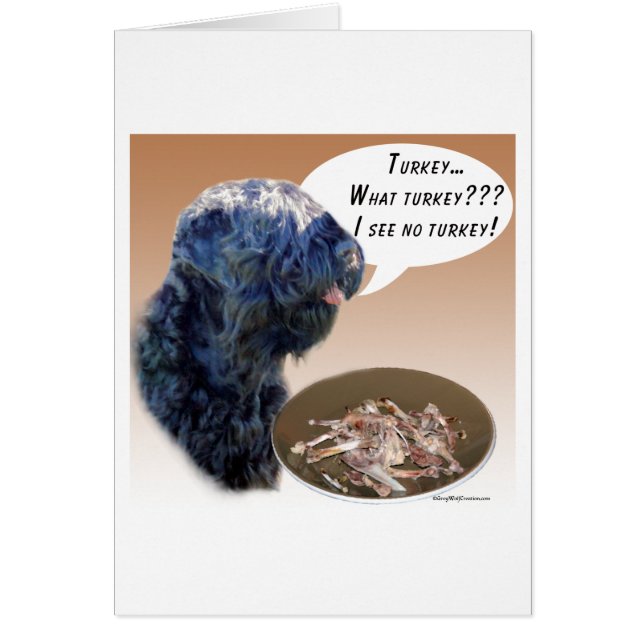 Black Russian Terrier Turquie (Devant)