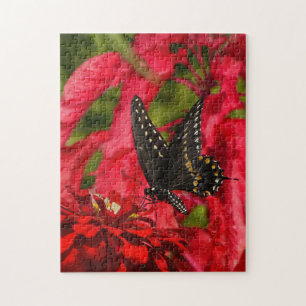 Black Swallower sur le puzzle de fleurs rouges